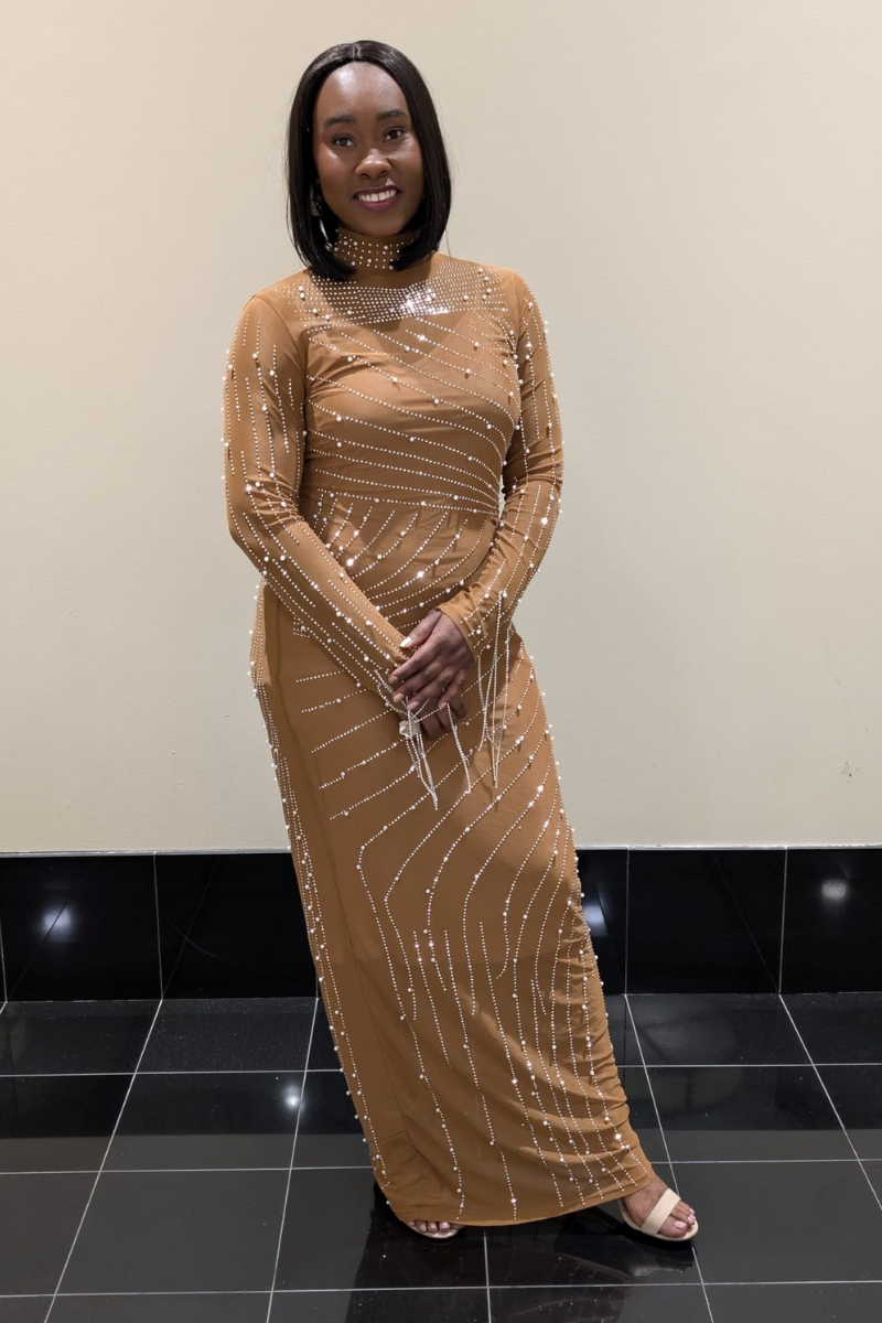 Grace Brown Shimmering Dress